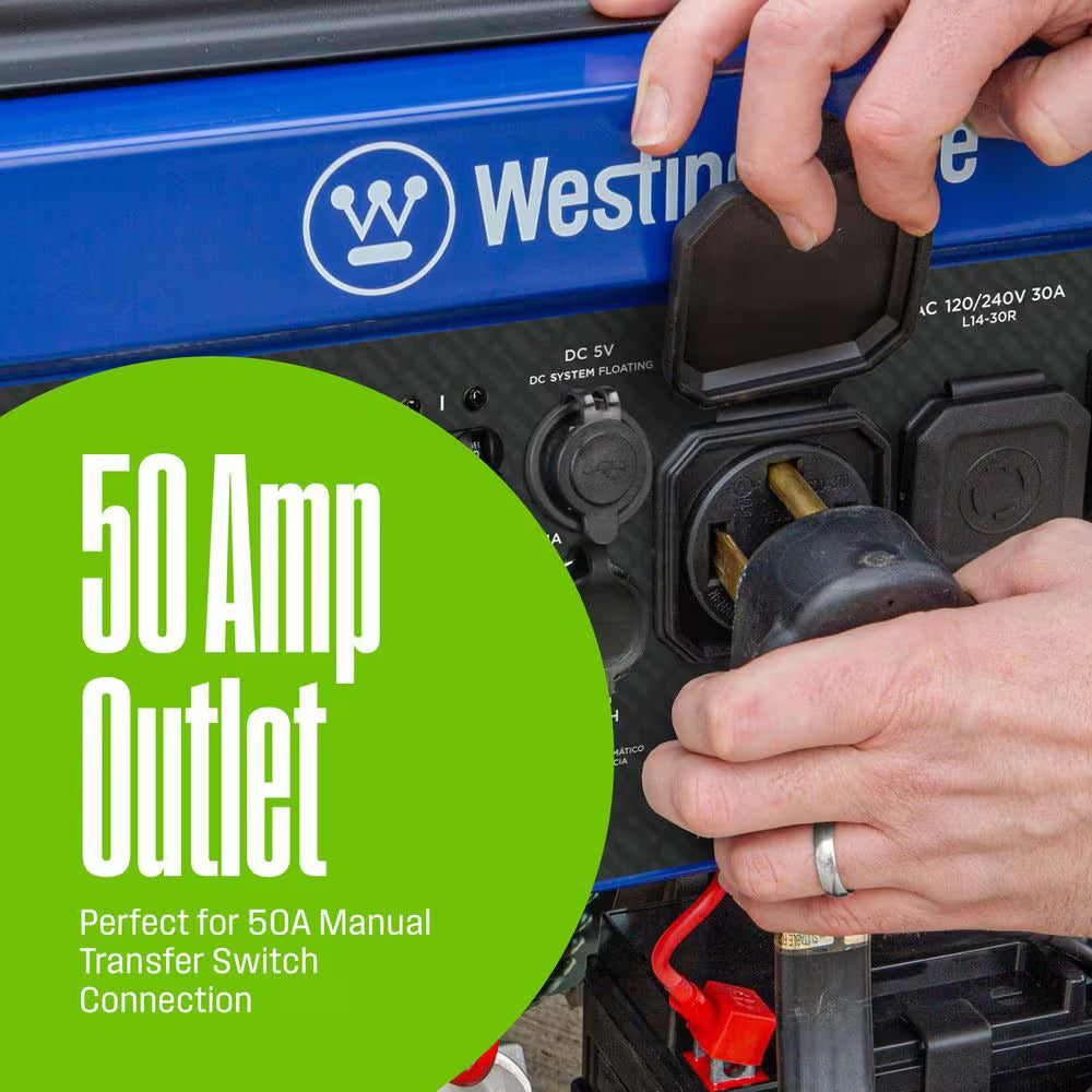 13,500-Watt/10,500-Watt Remote Start Dual Fuel Gas and Propane Portable Generator with 50A Outlet, CO Sensor