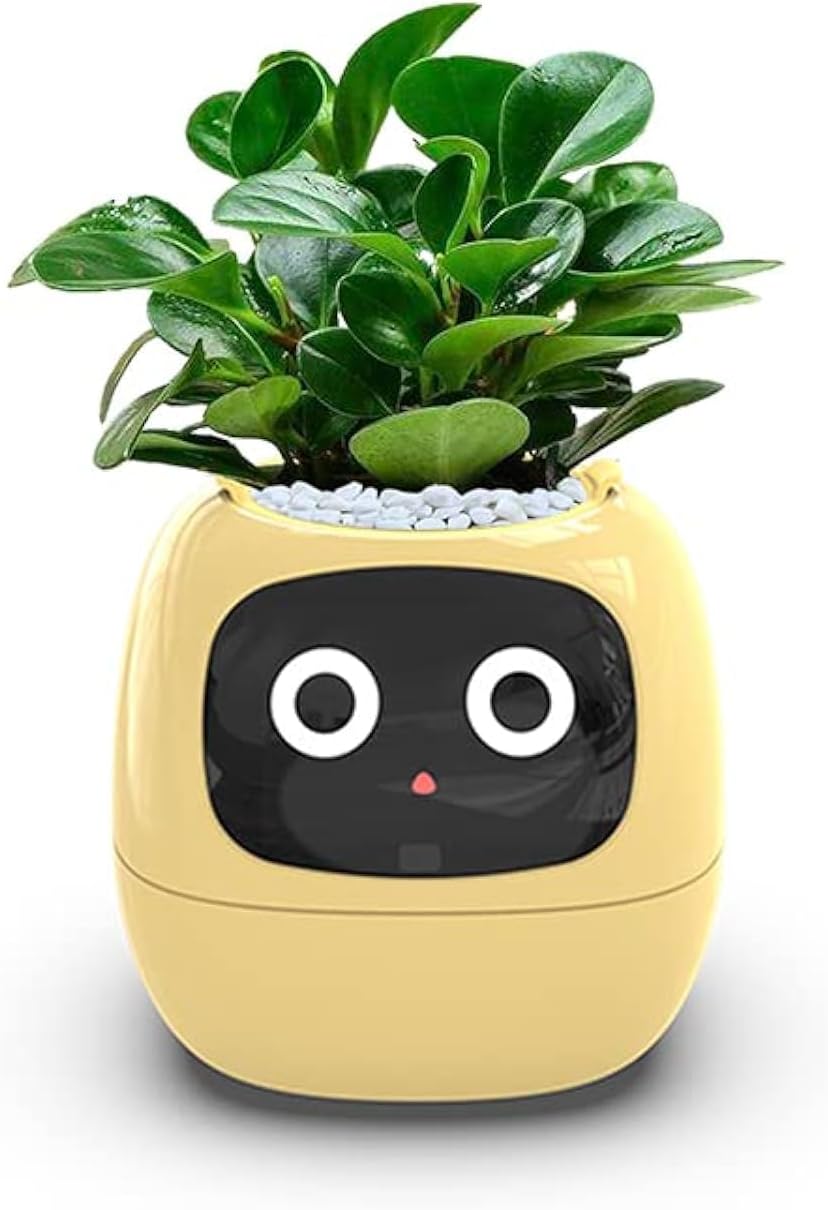 Smart Flowerpots,Smart Pet Planter,Ai Planter,Intelligent Flowerpots,Multiple Expressions,7 Smart Sensors, and Ai Chips Make Raising Plants Easy and Fun for Living Room,Plant-Free(Green)