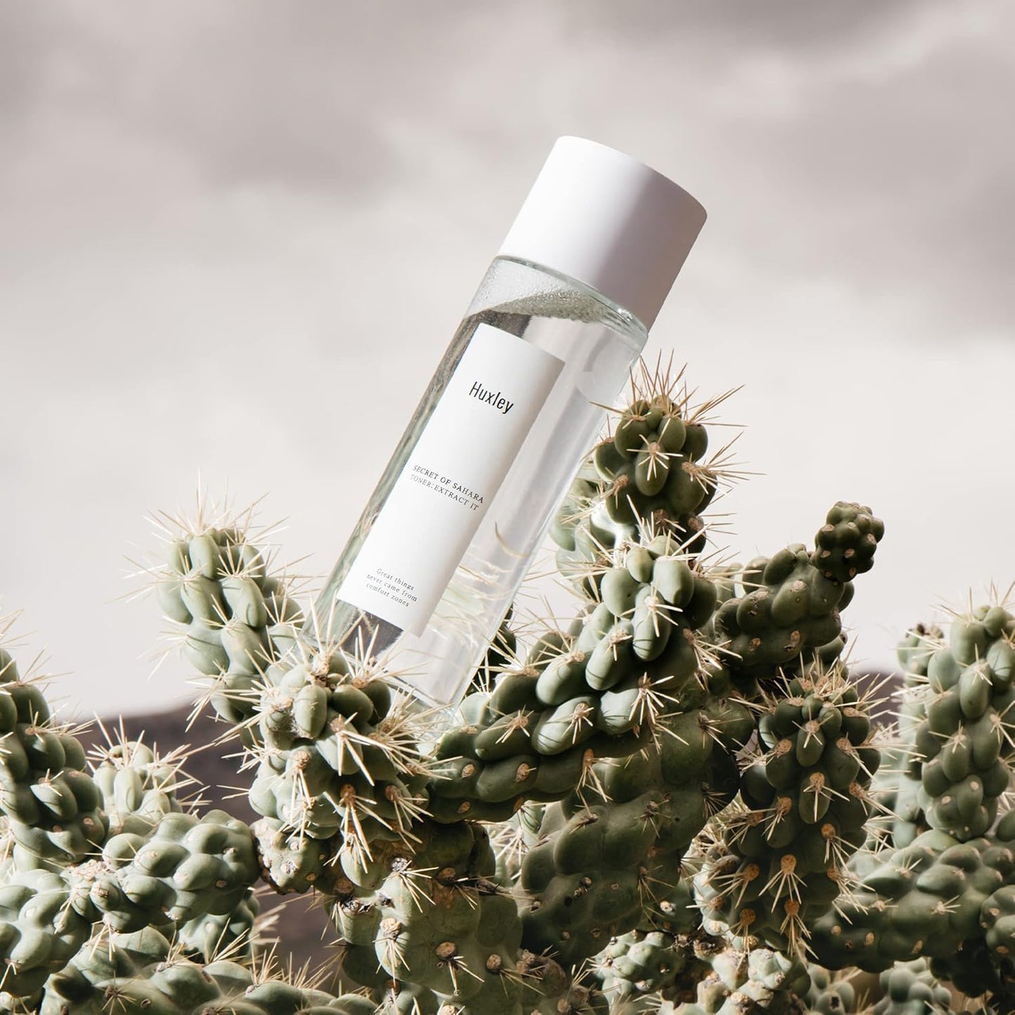 Secret of Sahara Toner Extract It 4.06 Fl. Oz. | Korean Skin Care | Ph Balancing Toning Water Refreshes and Hydrates Skin