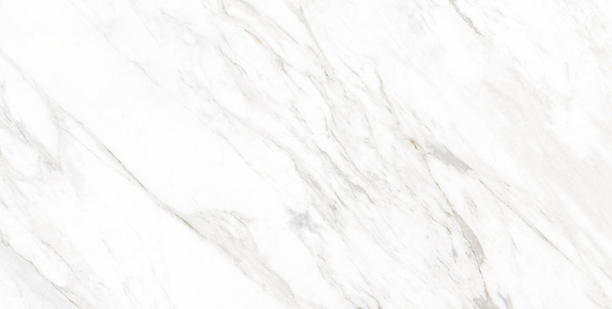 Classic Carrara  24x48 Porcelain Tile - Glossy