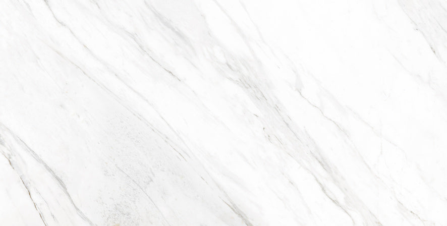 Classic Carrara  24x48 Porcelain Tile - Glossy