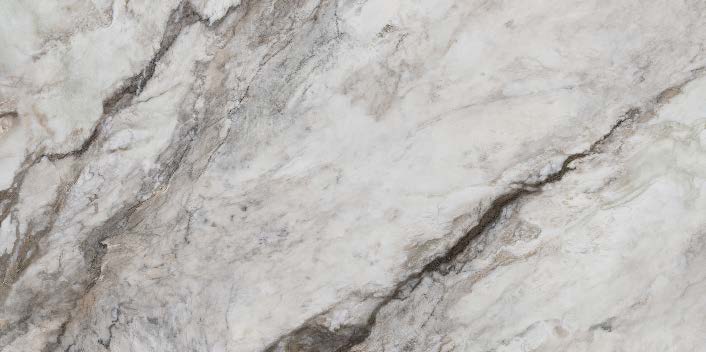 Dundee  24x48 Porcelain Tile - Glossy