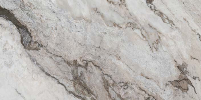 Dundee  24x48 Porcelain Tile - Glossy