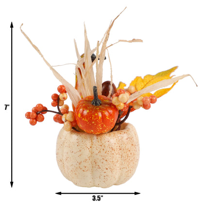 Fall Decorations for Home-6Pcs Mini Pumpkins & 2Pcs Gourds, 30Pcs Autumn Leaves & 10Pcs Acorns, 2Pcs Pinecones Centerpiece Set -Thanksgiving Harvest Decor for Table, Mantel, Party Backdrop