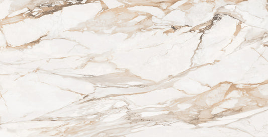 Statuario Porcshe  24x48 Porcelain Tile - Glossy