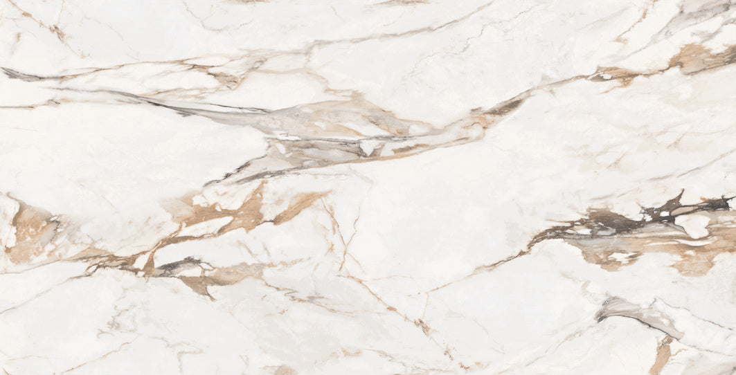 Statuario Porcshe  24x48 Porcelain Tile - Glossy