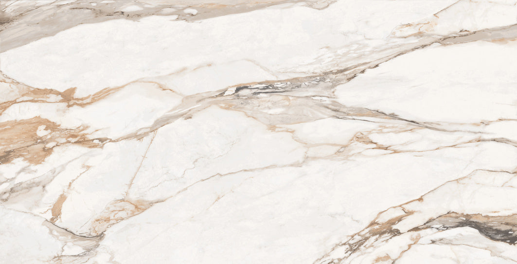 Statuario Porcshe  24x48 Porcelain Tile - Glossy