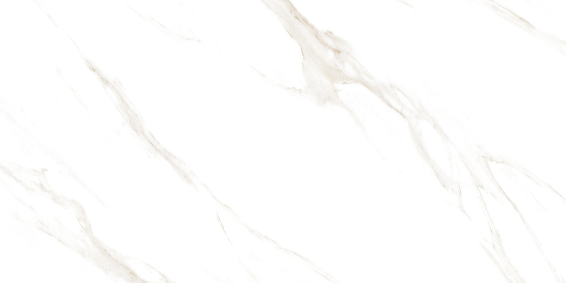 Swizer White  24x48 Porcelain Tile - Glossy