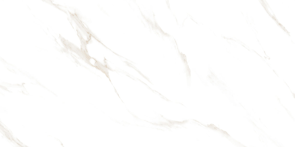 Swizer White  24x48 Porcelain Tile - Glossy