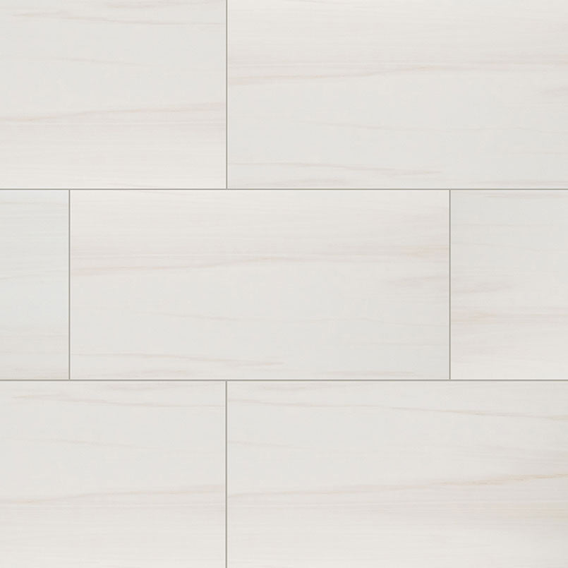 Eden Dolomite 12x24 Porcelain Tile - Matte & Polished