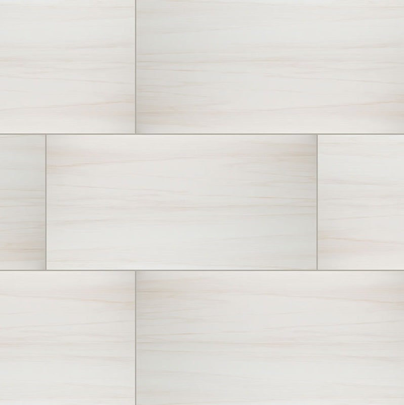 Eden Dolomite 24x48 Porcelain Tile - Matte & Polished