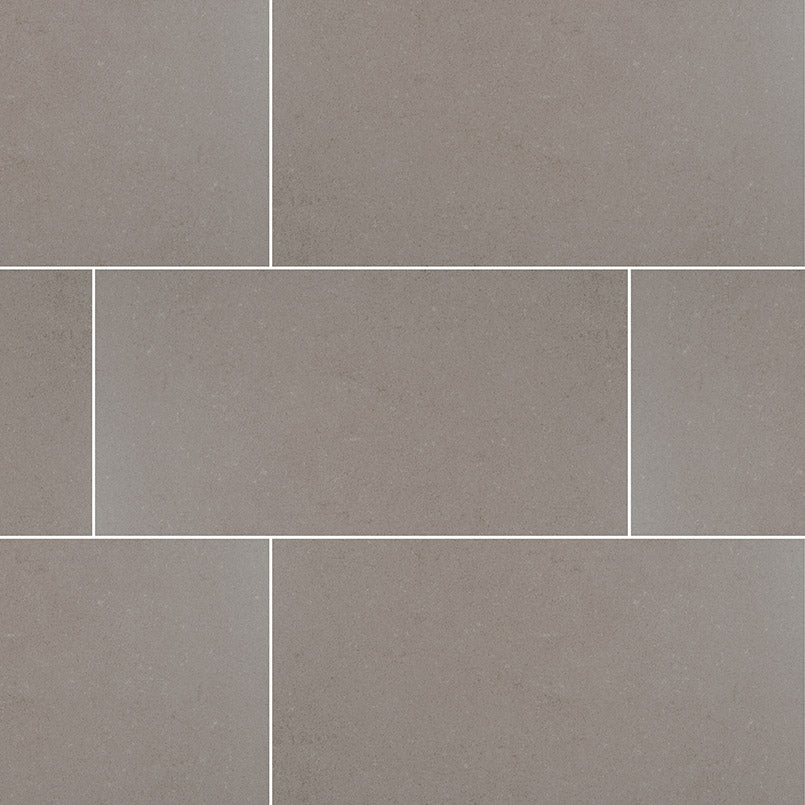 Anti Slip Gris 12x24 Porcelain Tile - Matte