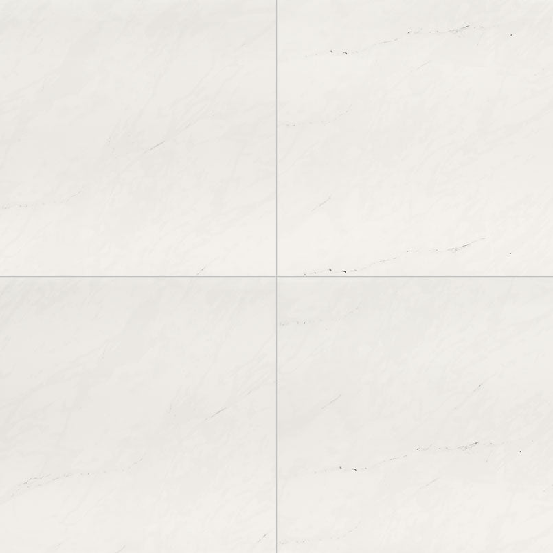 ARI ICE 24x24 POLISHED PORCELAIN TILE