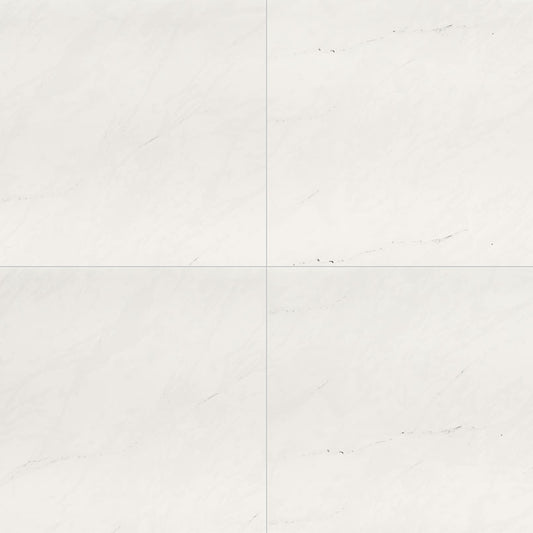 ARI ICE 24x24 POLISHED PORCELAIN TILE