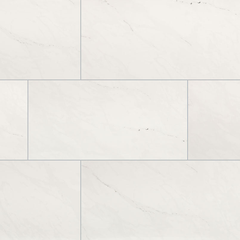 ARI ICE 24x48 POLISHED PORCELAIN TILE