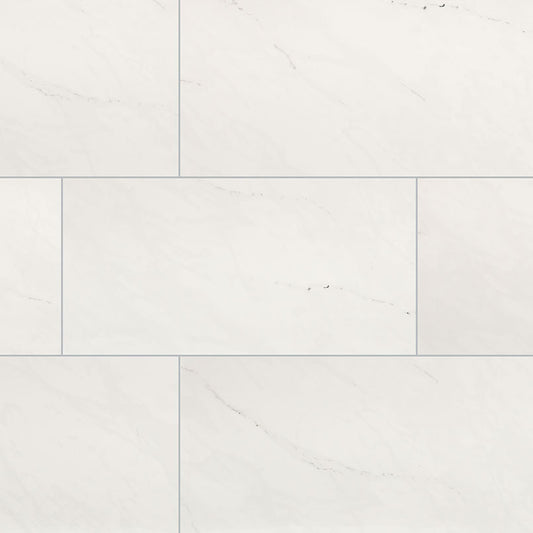 ARI ICE 24x48 POLISHED PORCELAIN TILE