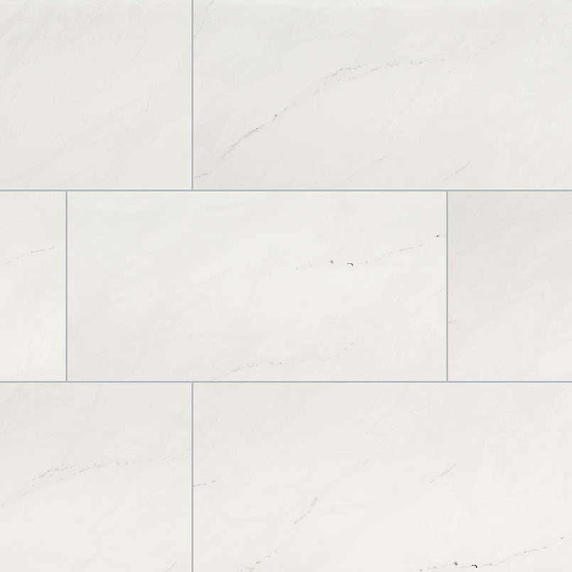 ARI ICE 12x24 POLISHED PORCELAIN TILE