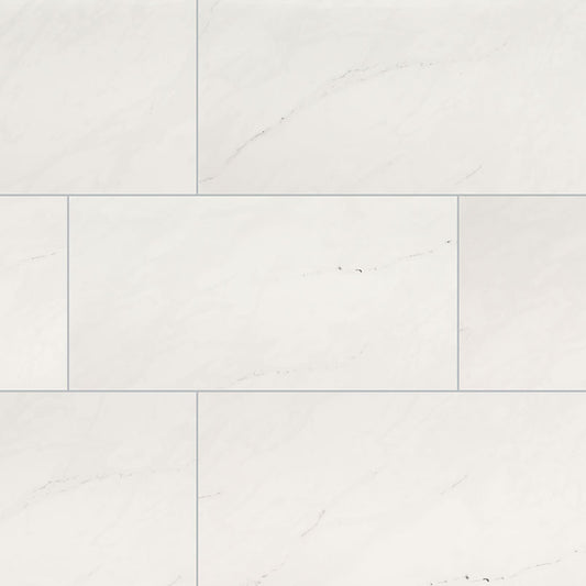 ARI ICE 12x24 POLISHED PORCELAIN TILE