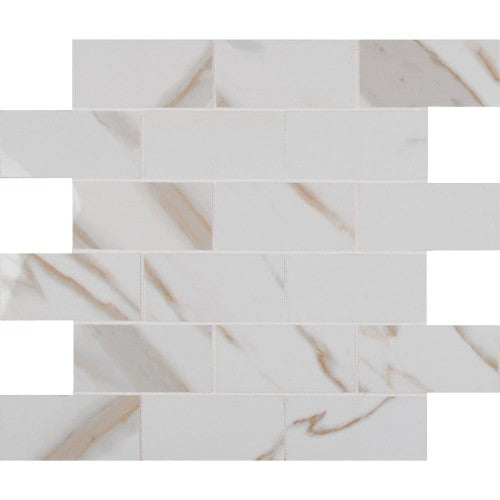 Pietra Carrara 2x4 Subway Porcelain Mosaic Tile - Polished