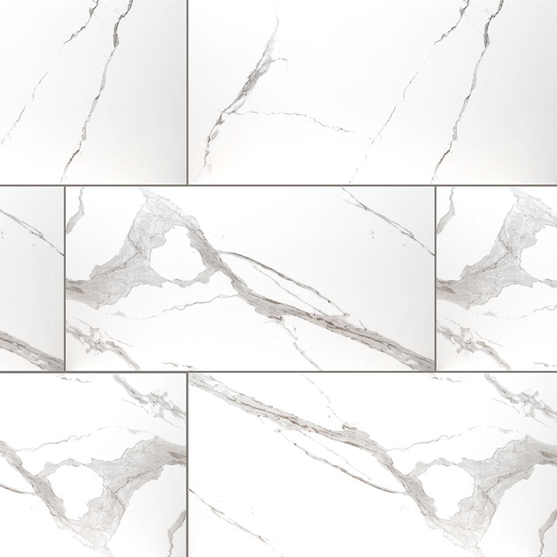 Eden Statuary 12x24 Porcelain Tile - Matte & Polished