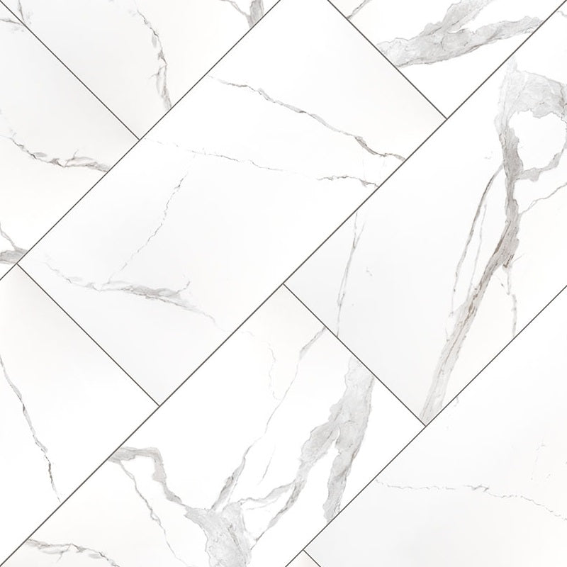 Eden Statuary 12x24 Porcelain Tile - Matte & Polished