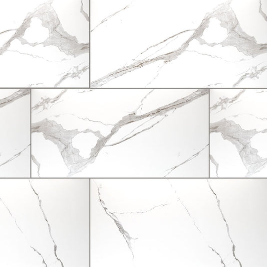 Eden Statuary 24x48 Porcelain Tile - Matte & Polished