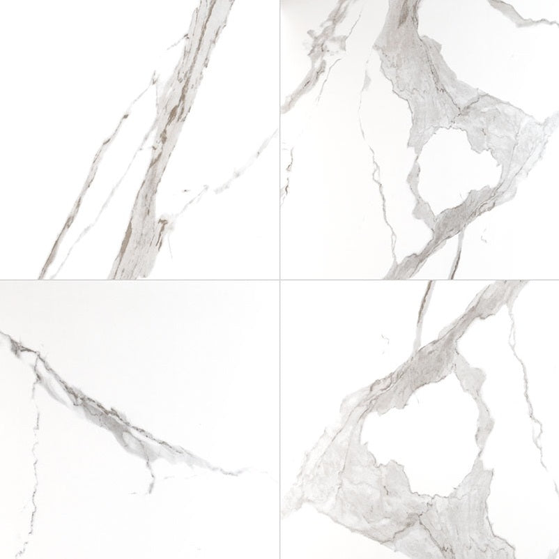 Eden Statuary 24x24 Porcelain Tile - Matte & Polished